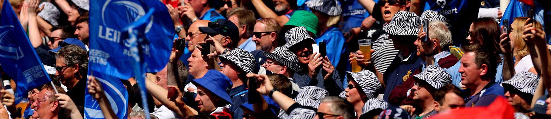 Leinster Fans In Stadium